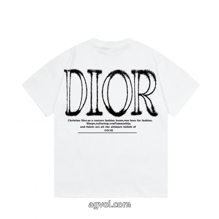 DIORコピー 通販半袖Tシャツ抜け感のある 国内即発  風合いが出る_0_3