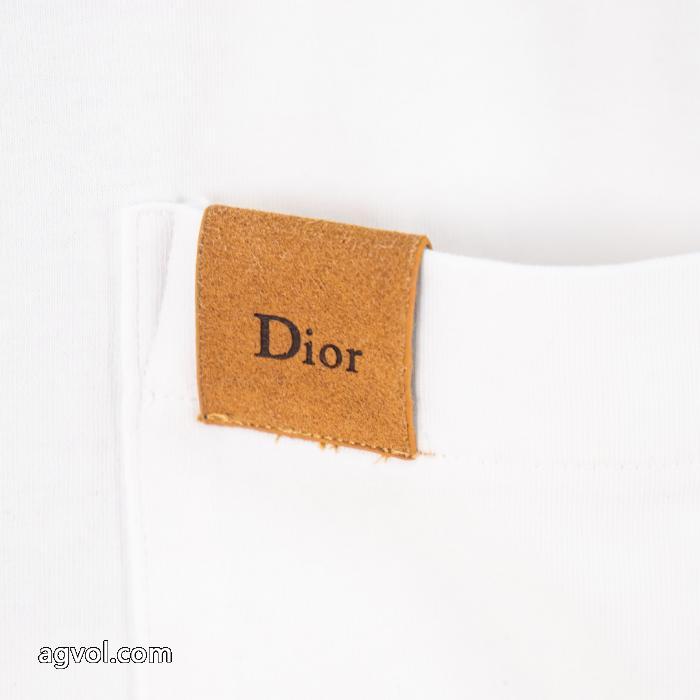 半袖Tシャツコピー 品 販売綺麗な 高品質な 人気の高さ激安通販DIOR_0_1
