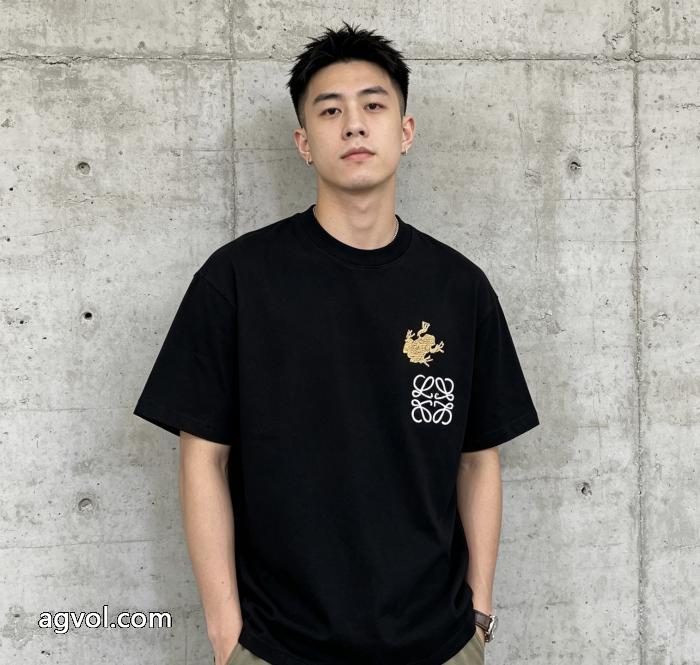 LOEWE半袖Tシャツ 2026スーパーコピー視線を集めて 甘い風 品質保証低価_0_0
