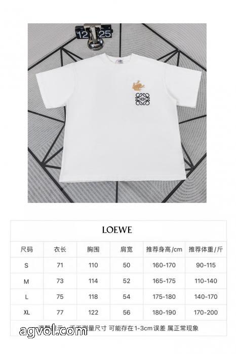LOEWE半袖Tシャツ 2026スーパーコピー視線を集めて 甘い風 品質保証低価_0_5