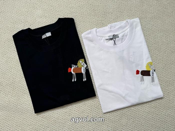 激安 通販 ブランドDIOR半袖Tシャツ大人気商品再入荷! 高品質で綺麗 万能タイプ_0_0