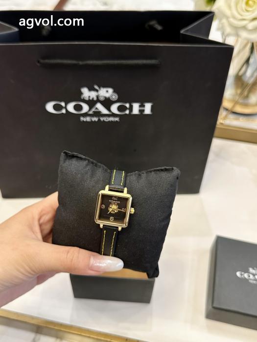 ブランド コピー s 級腕時計COACH上品さ漂う セール価格でお得 超激得新品_0_2