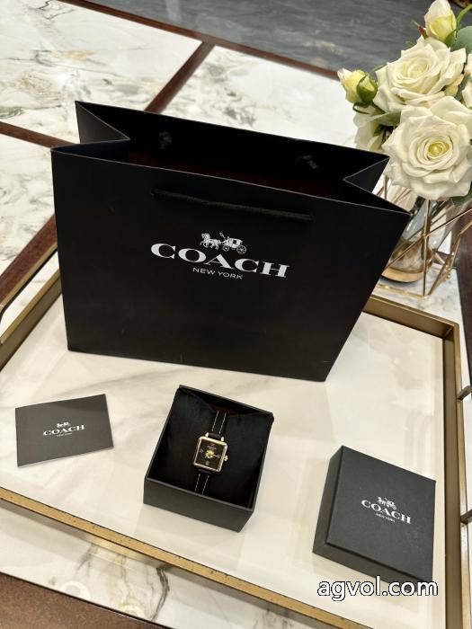 ブランド コピー s 級腕時計COACH上品さ漂う セール価格でお得 超激得新品_0_4