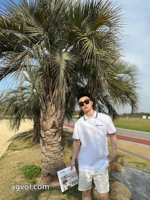 優れた品質 人気急上昇中 夏季超人気アイテム半袖poloTシャツDIORブランド コピー バック_0_4