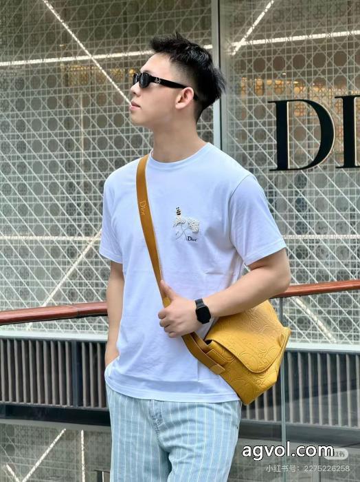 着心地良く コスパ最強 ファッション通販ブランド 激安 DIOR半袖Tシャツ_0_3
