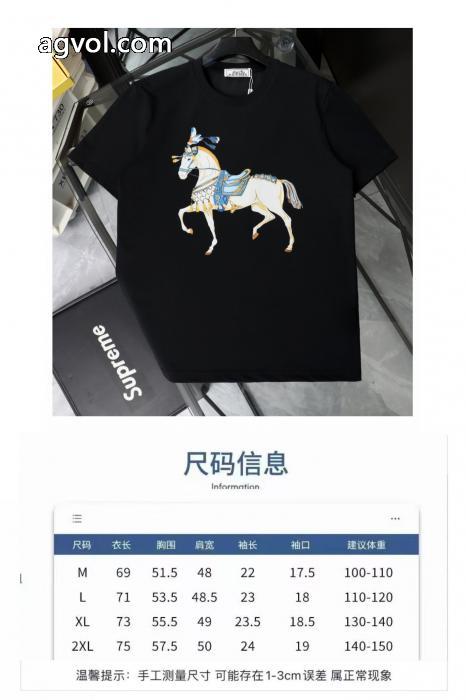 2026新作 カジュアルで気分爽快 大人気ストリートブランド 通販店半袖TシャツHERMES_0_0
