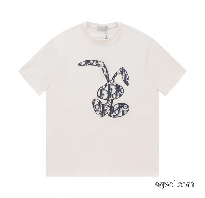 偽 ブランド 販売爆発的人気再入荷 長くご愛用できる 超目玉DIOR半袖Tシャツ_0_3