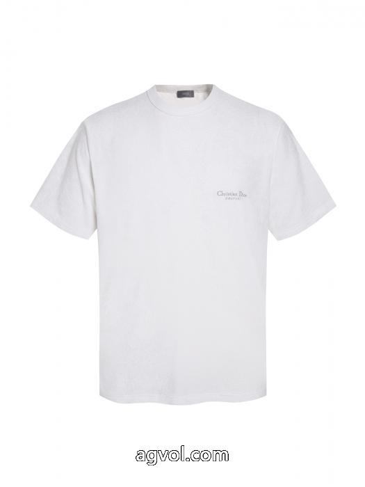 2026年新作通販 最新超人気 高い人気ブランド 通販店半袖TシャツDIOR_0_2