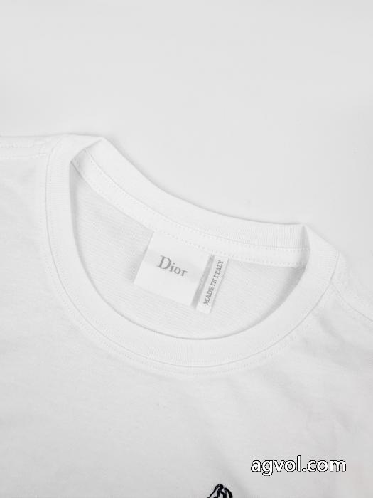 半袖Tシャツ2026最新作 素敵な商品 HOT人気コピー 品 販売ディオール_0_1