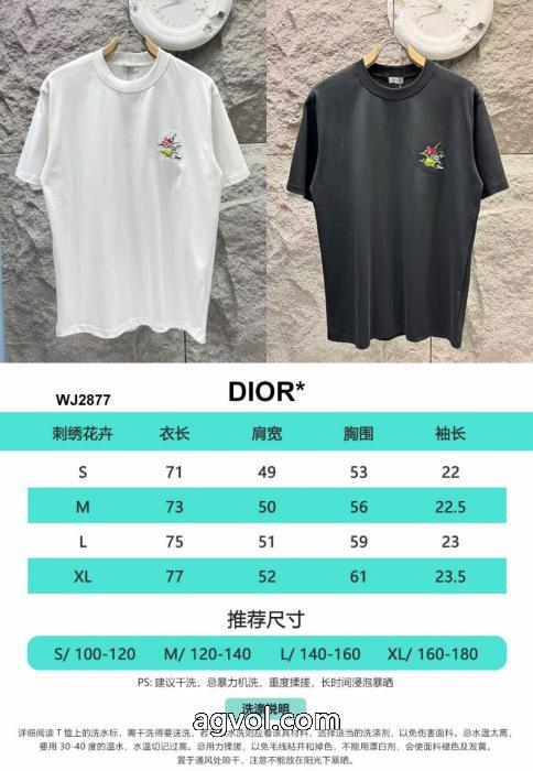 スタイルアップ上品 在庫一掃セール ファション性の高いDIOR半袖Tシャツブランド 偽物 通販_0_0