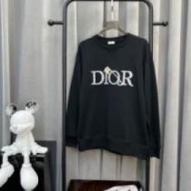 高品質 人気 2025 DIORコピー 長く愛用できる 耐久性のある ディオールコピー 2色可選