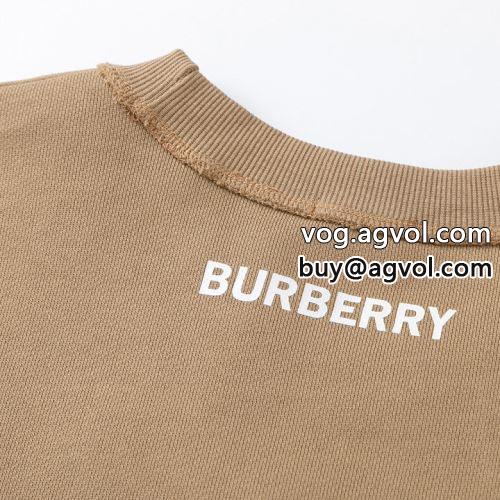 ハイレベルな作業 バーバリーコピー 3色可選 海外セレブ愛用 2022 BURBERRYコピー パーカー 男女同型