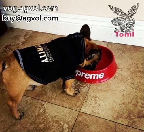 犬鉢 2色可選  シュプリーム コピー 2022 SUPREMEコピー