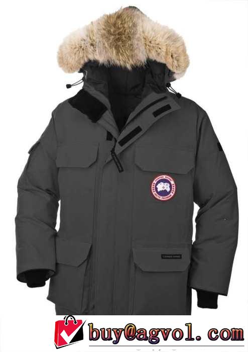 機能性ある　2015秋冬 Canada Goose ダウンジャケット 2色可選