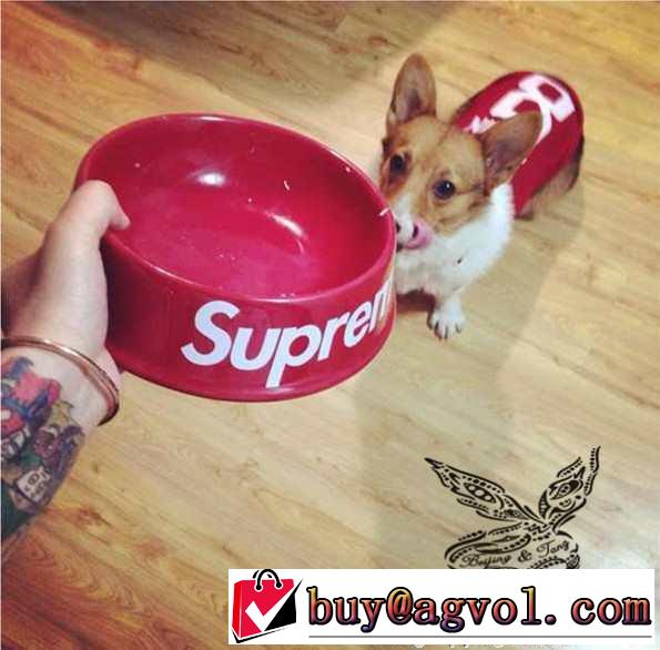 新作 2015 SUPREME シュプリーム 簡単なペット食器 2色可選